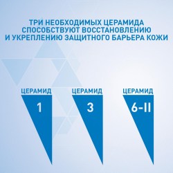 3337875597227_4_11