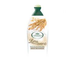 langelica-officinalis-oves-i-molochko-569x455-969